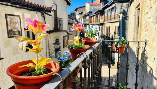 Apartamentos Raíces - Foto 2