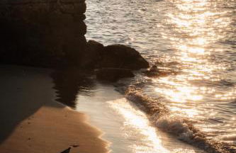 DORA'S HOME - Foto 60