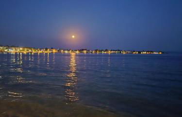 Black Rock Agria - Foto 34