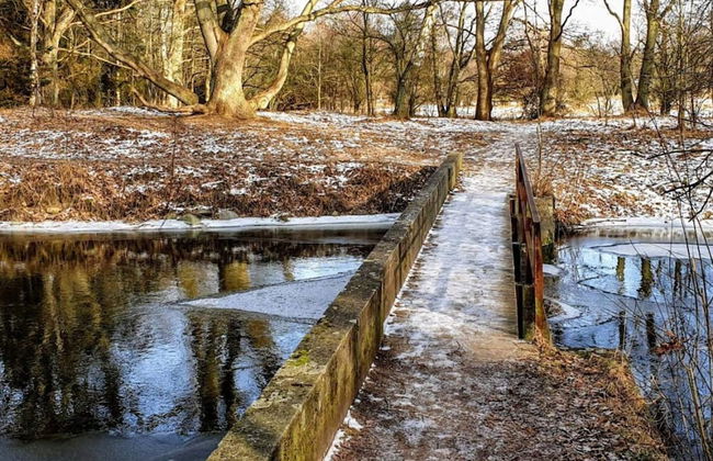 5 Person Holiday Home in Store Fuglede - Foto 11