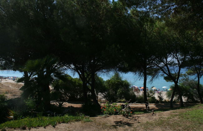 Villa Luisa - Photo 53