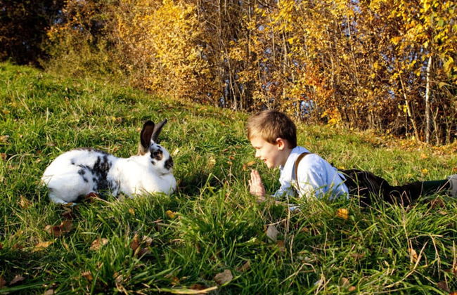 Apartment in Schwalbenhof Farm - Foto 22