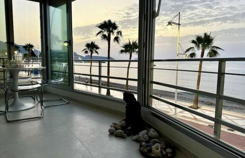 Beachfront, First line, 2-Bdr,2-Bath, Swiming Pool - Photo 37