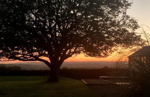 The Cabin at Barnstormers, luxury woodland setting - Foto 19