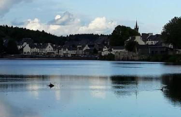 Gîte détente Domaine de Helles -Spa Privatif et Sauna - Foto 37