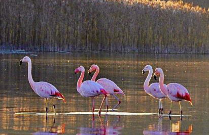 Haus DreiSeenBlick - adults only - Foto 17