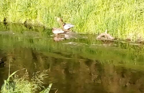 Eden 1 Zimmer Appartment - Foto 12