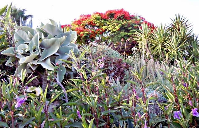 Rododafni Beach Apartments - Foto 63