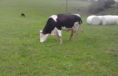 Apartment Melissa - Foto 54