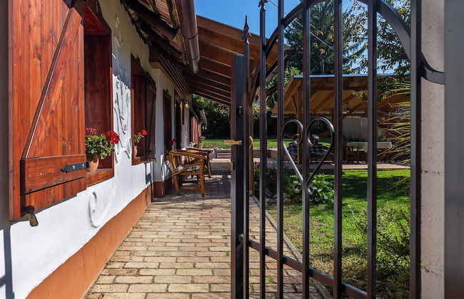 The Bird of Happiness-heaven for Dogs - Foto 33