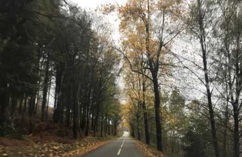 Casa da Carvalha - Ádela - Foto 27