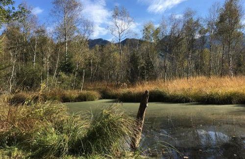 Ferienwohnung Am Moosbach - Foto 25
