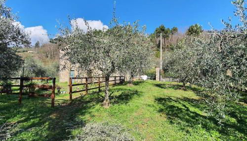 Il Cantuccio 2 - Foto 2, Garden view