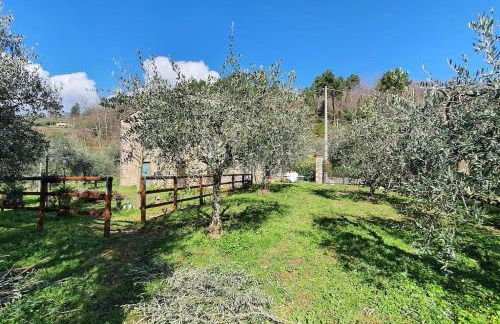 Il Cantuccio Proprietà - Foto 32