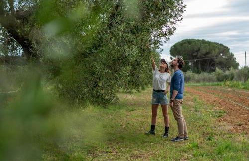 Agriturismo La Banchella - Photo 16