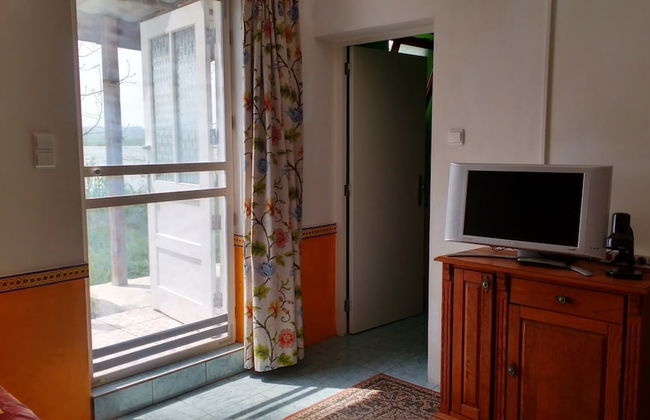 Termas da Azenha - Photo 9