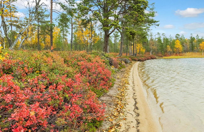 Peurakumpu - Foto 30