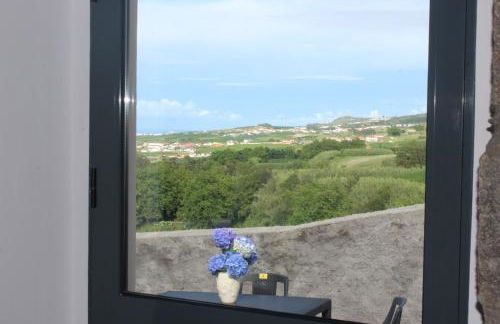 Vista Horizonte - Photo 22