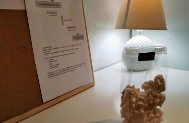 La Casetta di Ivy - Photo 11