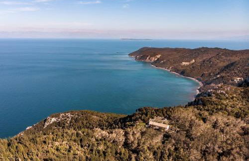 ELEONAS Othoni - Foto 34