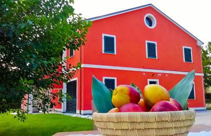 Agriturismo Rossococomero OFFERTA FEBBRAIO! - Foto 2