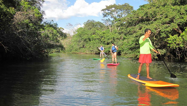 Paddle surf en Eco Park Porto da Ilha