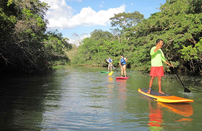 Ingresso do Eco Park Porto da Ilha - Foto 2