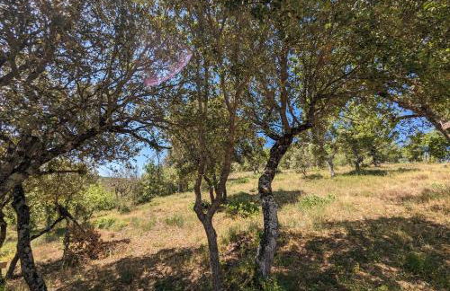 Maison paisible au bord du lac d'Esparron - Foto 17