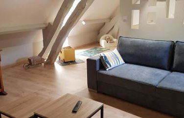 Maison Familiale proche Zoo de Beauval à Selles sur Cher GITE A l'Ombre du Saule - Foto 13