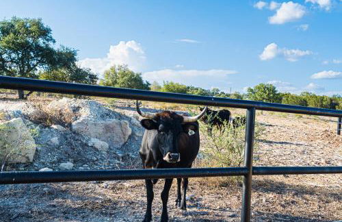 Gruene Daze Chalet - Stylish Aframe - Escape the Ordinary - Foto 27