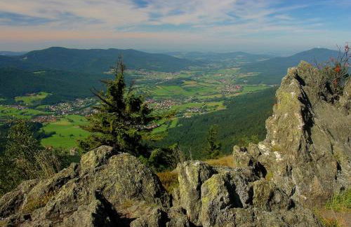 Appartement im Himmelreich - Foto 13