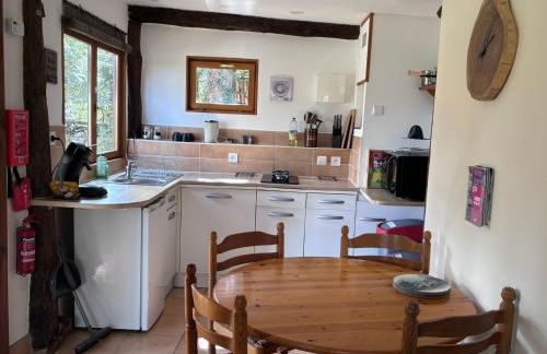 Le Terrier Blanc - Foto 5