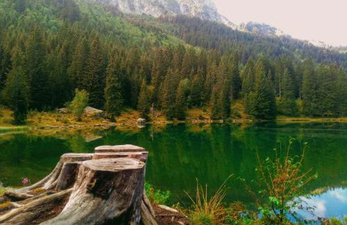 Studio au calme face aux montagnes dans station de ski - Foto 37
