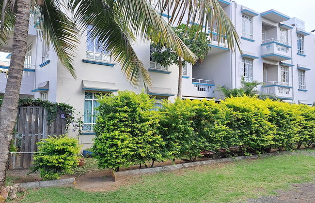 Allamanda Studios and Apartments - Photo 40