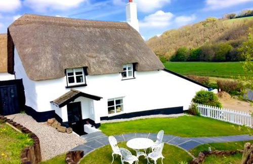 Cosy and unique Thatched Cottage on Dartmoor - Foto 1