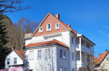 Haus Am Beckerberg im Harz - Foto 1