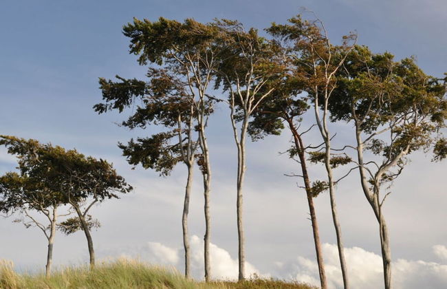 Fabian Comfortable Holiday Residence - Photo 17