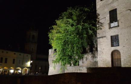 Agriturismo La Fattoria Del Boschetto - Photo 44