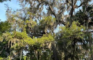 Modern Sanctuary in Saint Augustine - Foto 60