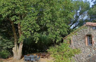 Le Moulin de La Grave 450m2 - Foto 34