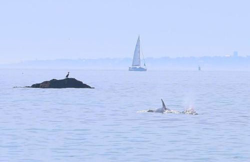 Large home with sea view - Foto 7