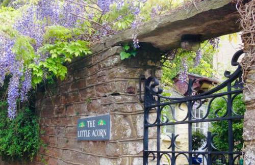 The Little Acorn - Photo 1