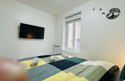 Nid Confort - 2 pas à la place de Jaude - Foto 8