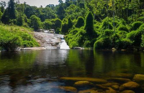 Casa confortável São Roque-Paraty - Foto 19