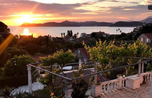 Family apartments Dominković - Photo 1