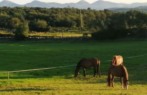 The Horsebox, unexpected luxury - Foto 28