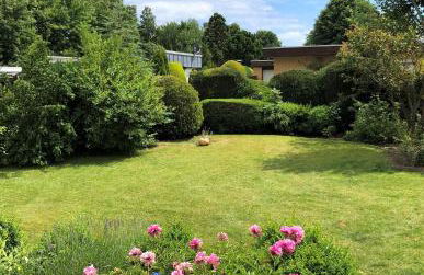 Strandläufer - Photo 16