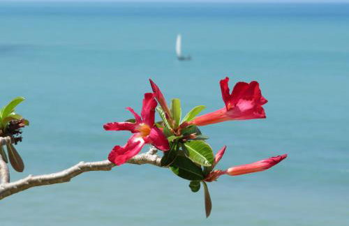 A CASA FORMOSA - Foto 25