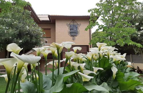 VILLA AFRICA - Foto 70