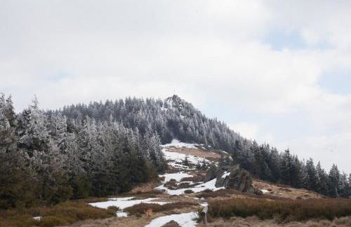 Sixt Martina - Foto 21